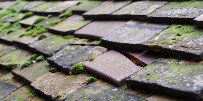 Hailsham roof repair costs